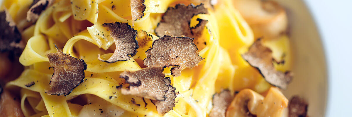 Italian Truffles types curiosities and how to value them